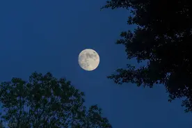 藤县：列入《永乐大典》的古藤八景究竟在哪里图片