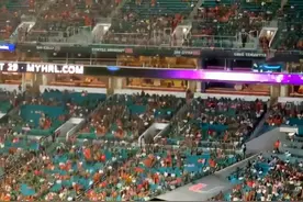 美国橄榄球赛场上一只猫险些坠落，结果没人看比赛，全跑去救猫了图片