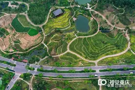 广阳岛明日起试开放 乘公交可达 每天最多接待1000人，需提前预约图片