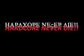 浅析“硬核（Hardcore）”一词在不同音乐流派中语意和用法图片