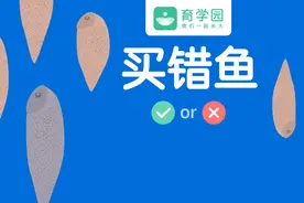 有激素！这种巴沙鱼测出激素药物残留，还被追捧当宝宝辅食图片