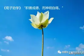 积善成德-荀子四字成语荀卿庠读书会整理图片
