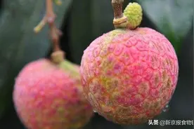 吃荔枝会“上火”？实为糖分高所致，每天别超17颗图片