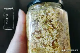 自制桂花蜜，水洗晾晒都不对，跟我这样做，香味浓郁放多久都不坏图片