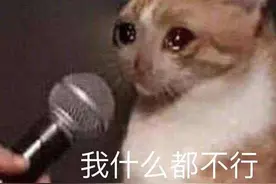 表情包｜亲亲是吃了扑棱蛾子吗，这么能闹腾图片