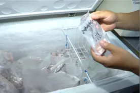 南京众彩：冷冻海鲜产品“六证”缺一不可 外加核酸检测报告图片