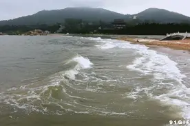 前浪砸锅      后浪凄凉图片