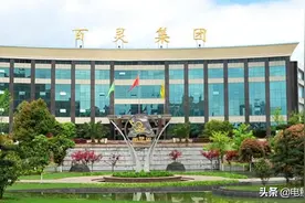 贵州百灵业绩再下挫近五成 实控人抵押九成持股 经营效率待提高图片