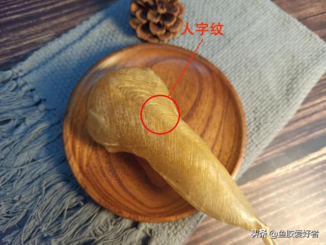 白花胶是什么东西 2026年白花胶是什么东西做的