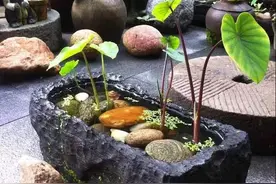 农村经常有人来收购旧石槽、旧石磨，石质老物件有啥用，能做什么图片