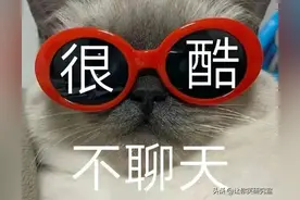 爸你为什么不和小姨结婚？哈哈没有一顿打是白挨的图片