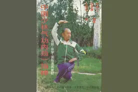 中国少林气功内劲一指禅\保健快得功图片