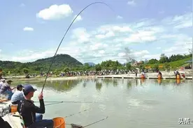 黑坑垂钓没有口怎么办？两种鱼情，不同的解决方法图片