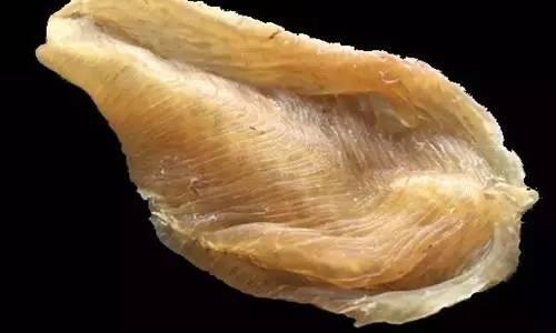 花胶边 花胶 区别 2026年花胶开边和不开边有什么区别