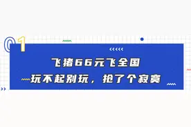 飞猪和12306推出了「随心出行套餐」，想实名diss图片