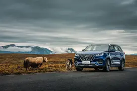 12.49万起中型SUV：瑞虎8 PLUS怎么选？图片