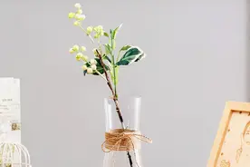 一个人有钱了，为什么不肯拉农村的穷亲戚一把？别高估了人性图片
