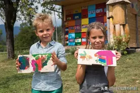 我们保护蜜蜂，到底是为了什么？​图片