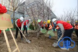 天津一中心医院新址开始绿化施工图片