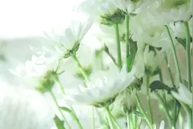 巨蟹座——看懂这五点，你也能成为敏感巨蟹座的安全感来源图片