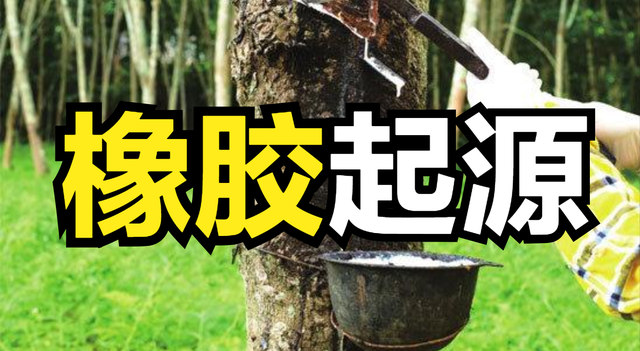 橡胶是什么时候发现的 2026年橡胶是什么时候发明的