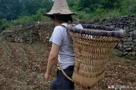 湖北宜昌资深驴友帮村民卖菌子，朋友调侃她油钱都没捞回来，她：“顺道的事而已！”图片