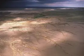 中国第二大沙漠，为何是片“绿”沙漠？图片