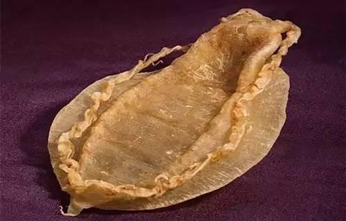 黄花筒是什么鱼的胶 2026年黄花筒胶图片大全