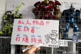 一堆破塑料，你怎么不去抢？熊孩子玩坏20万手办，家长拒绝赔偿图片