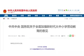 劳动课将成中国孩子升学重要参考：从芬兰学生的家务经济课说起图片