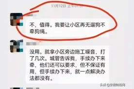 女子“拿命控诉”遛狗不牵绳，律师分析谁应担责图片