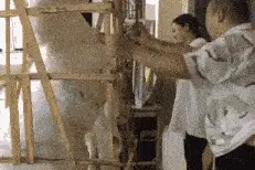 搞笑趣图：生活不易，每天都要开开心心地过着图片