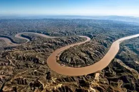 黄河中打捞到带字巨龟，渔民想要放生，专家却表示绝对不行图片