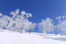 【新风】中美学子相约长白山，滑粉雪结友谊！图片