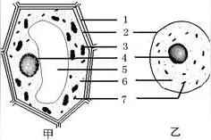 初中生物：中考热点知识整理+例题解析，中学生提高成绩很好用图片
