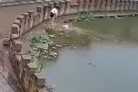 惊险！山西8岁姐姐跳水救妹妹险溺水，村民赶到后救出两人图片