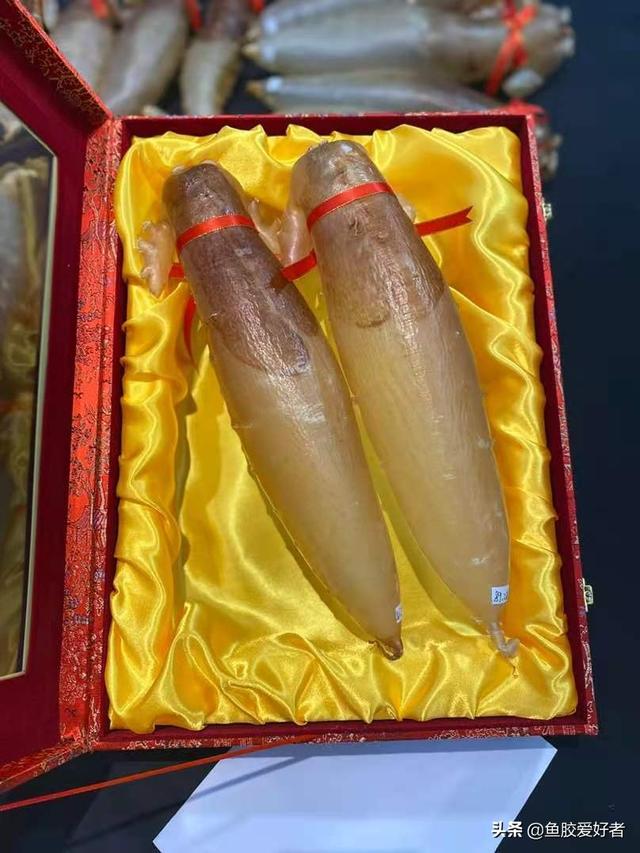 老的花胶有霉味吗 2026年花胶放久了有霉味