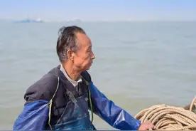 长江刀鱼的“倔强”：价格飙升百倍，却一条难求，如今绝地重生？图片