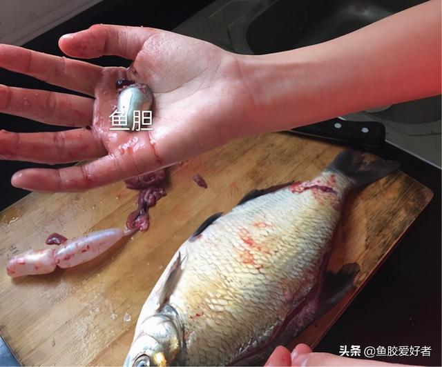 炖好的花胶放了一夜没事吧 炖好的花胶放了一夜没事吧怎么回事
