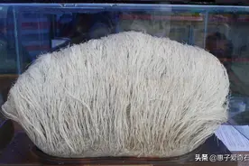 一九八七年18000元成交的“白发魔石”，专家：本是活物图片