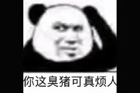 表情包｜你这臭猪可真烦人图片