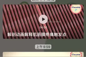 【运动损伤Respond】第四期 |肩关节-基础知识图片