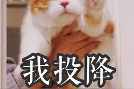 最低气温低至10℃，长沙3岁女童“秒”患感冒！这种低温阴雨天，孩子“招架不住”图片