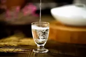 鱼头酒与河南人的那些事儿图片