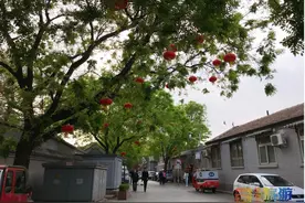 老北京人的念想儿！北海和景山之间的皇家御道，很多人都忽略了~图片