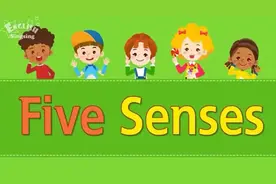 儿童常用单词英文卡通短片：Five Senses 五官单词图片