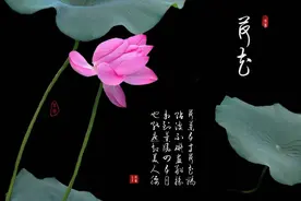 水墨画风格的荷花照片，用手机就能修图片