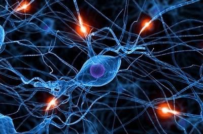 肽的功效与作用有哪些 2026年肽的功效与作用有哪些呢
