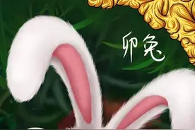 十二生肖之卯兔图片