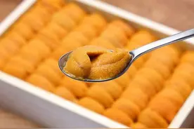 三亚海胆蒸蛋，壳还在，胆没了，这季节的海胆真的没胆？图片